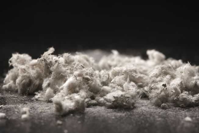 Asbestos Inspection Melbourne | Asbestos Testing Melbourne